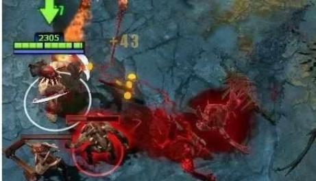 引进一名顶 引进一名顶