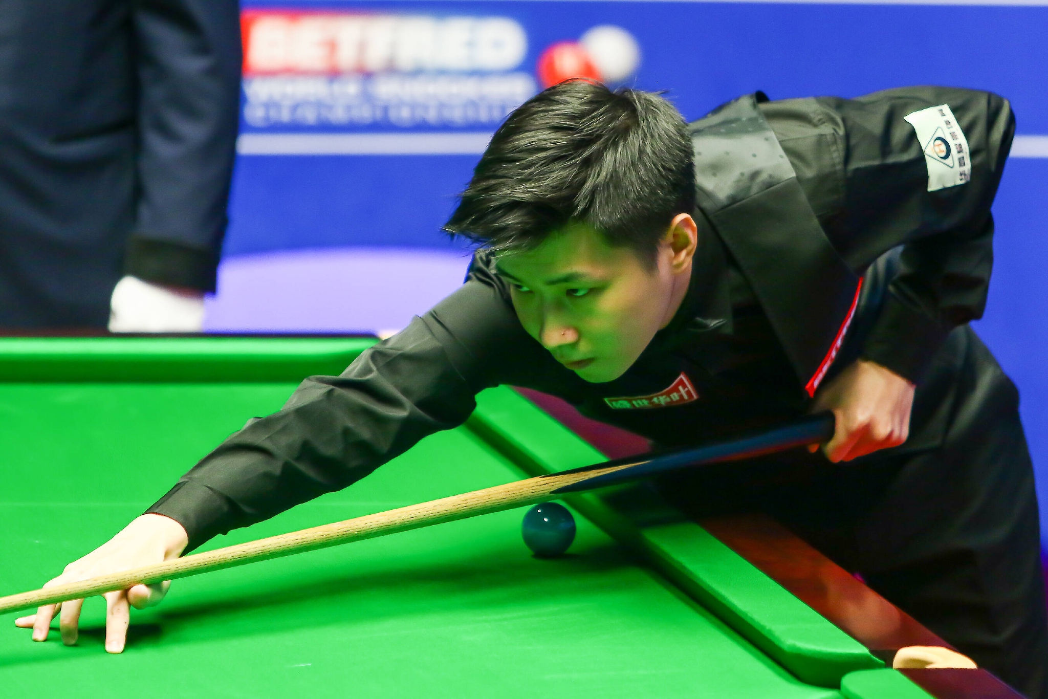 天津津门虎 天津津门虎